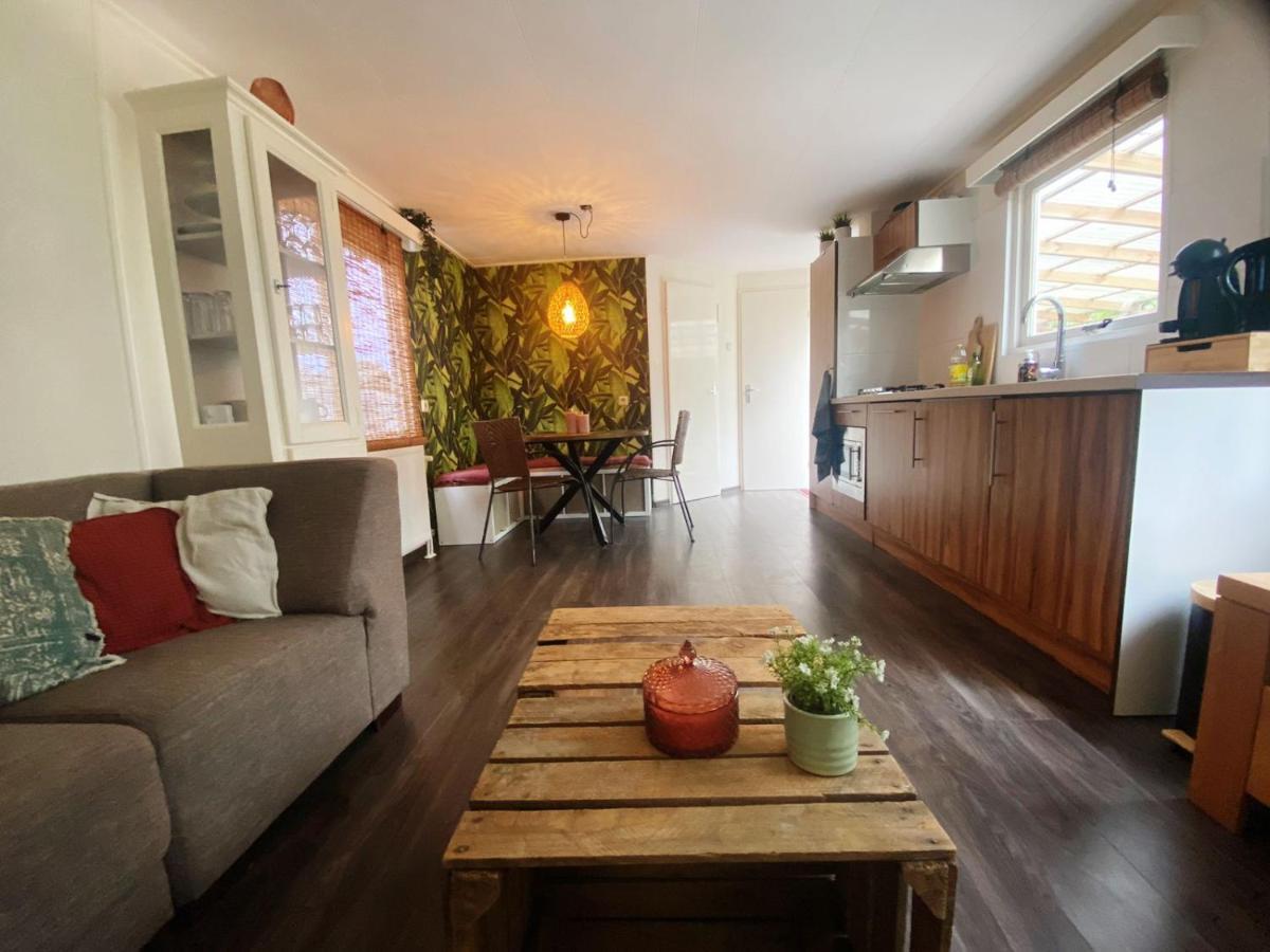 Chalet With Access To The Woods - No 147 Anloo Ngoại thất bức ảnh